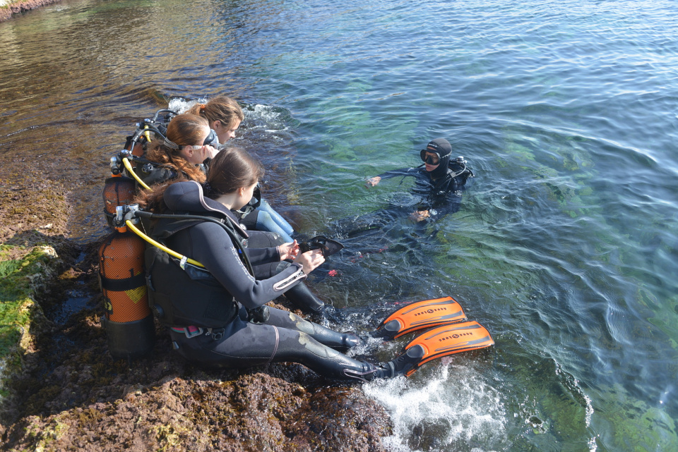 Молодежный клуб РГО "Malta Crown"