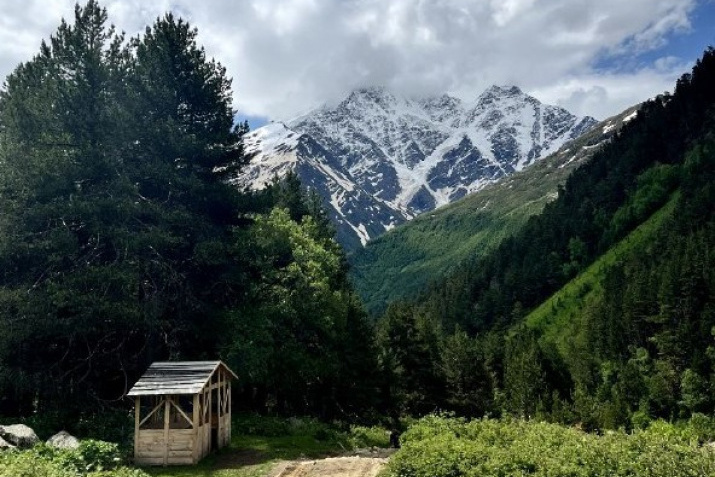 Предоставлено Молодёжным клубом РГО "Импульс"