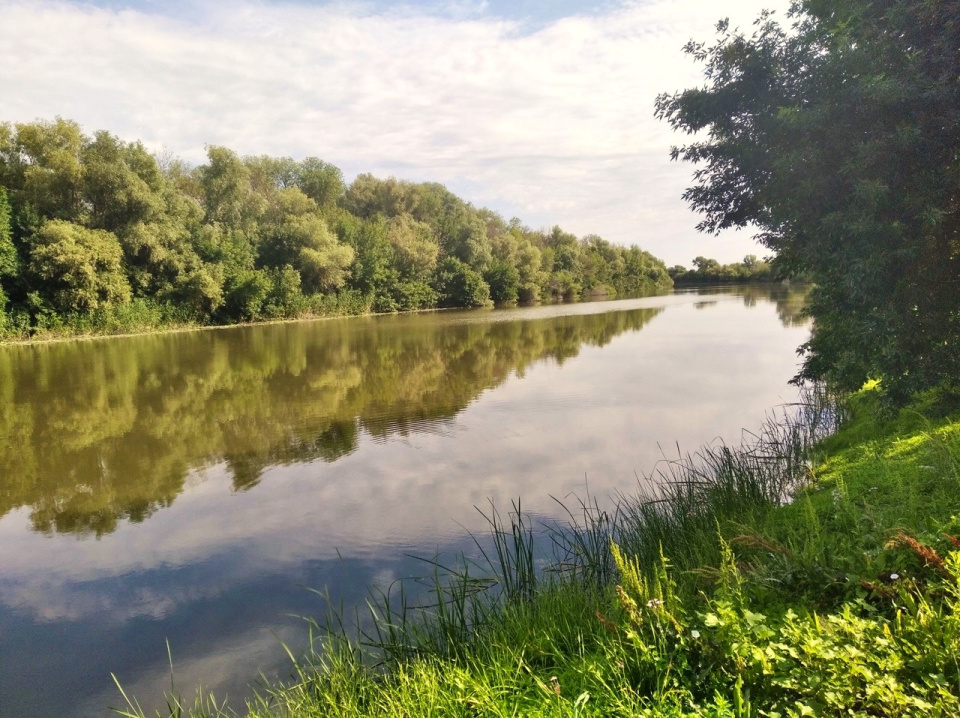 Дельта Волги