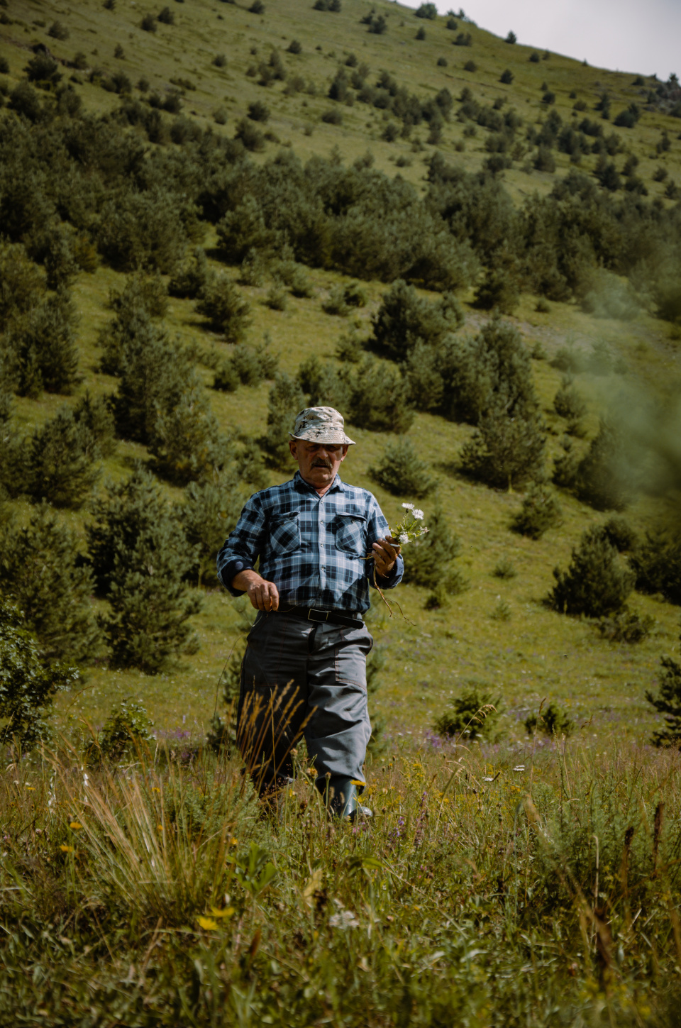 Дмитрий Шорохов