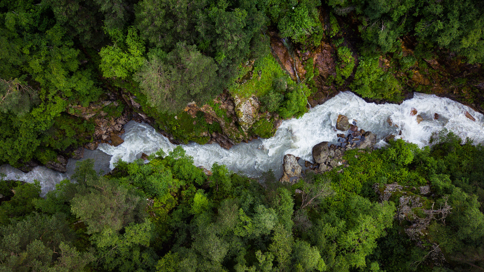 Виктория Кузнецова
