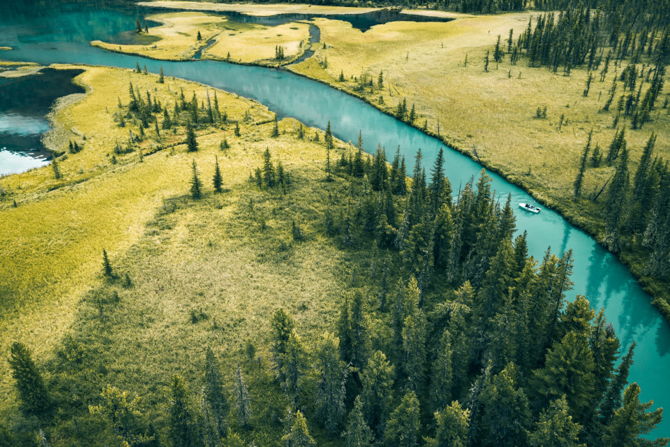 Артур Канатов 