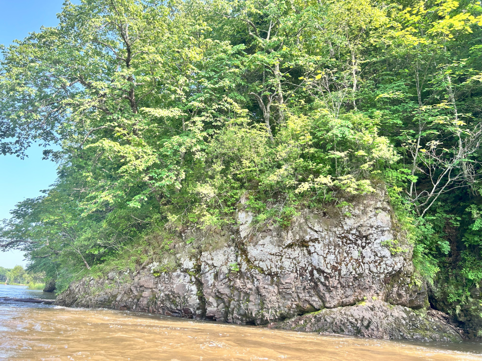 Скальные выступы