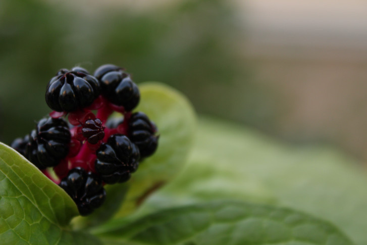 Дмитрий Батюков, участник фотоконкурса РГО "Самая красивая страна"