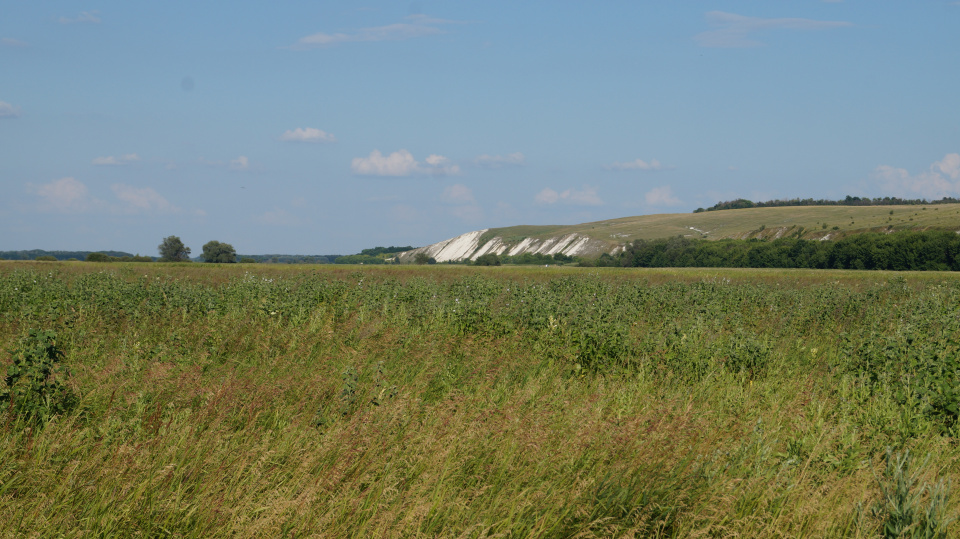 Возвращение к истокам