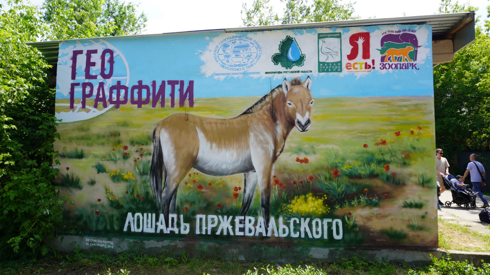 Автор: Наталья Давыдова