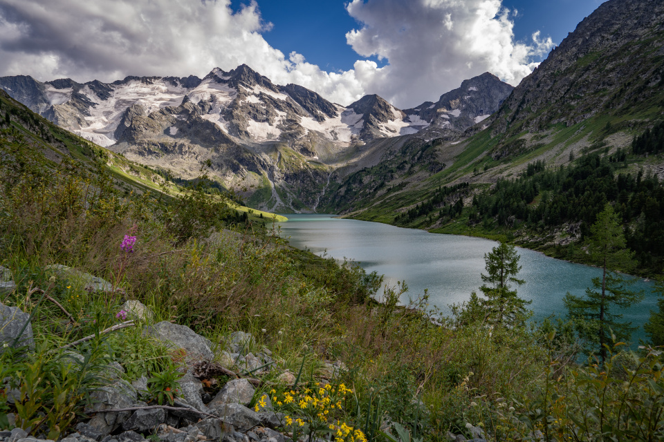 Андрей Бородулин