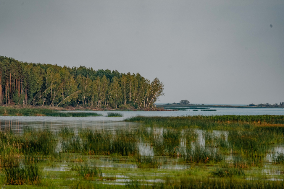 Михаил Погомий