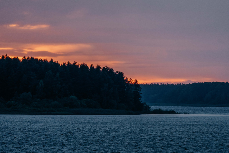 Михаил Погомий 