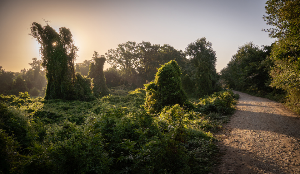 Роман Ромохов
