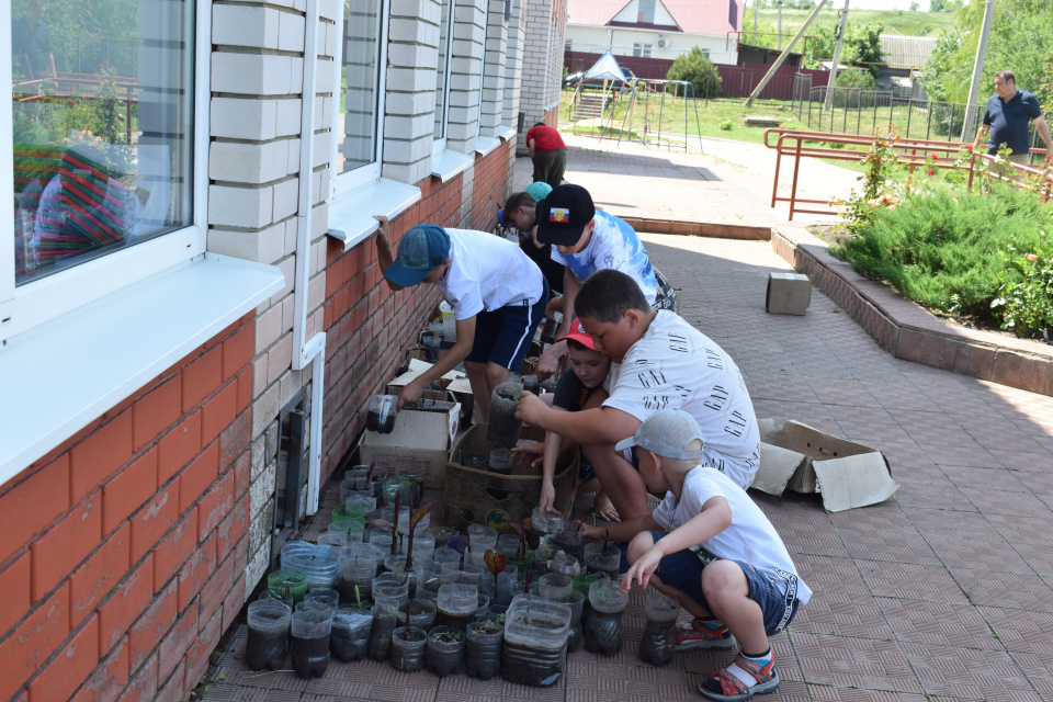 Лагерь "Старт в науку-2025"