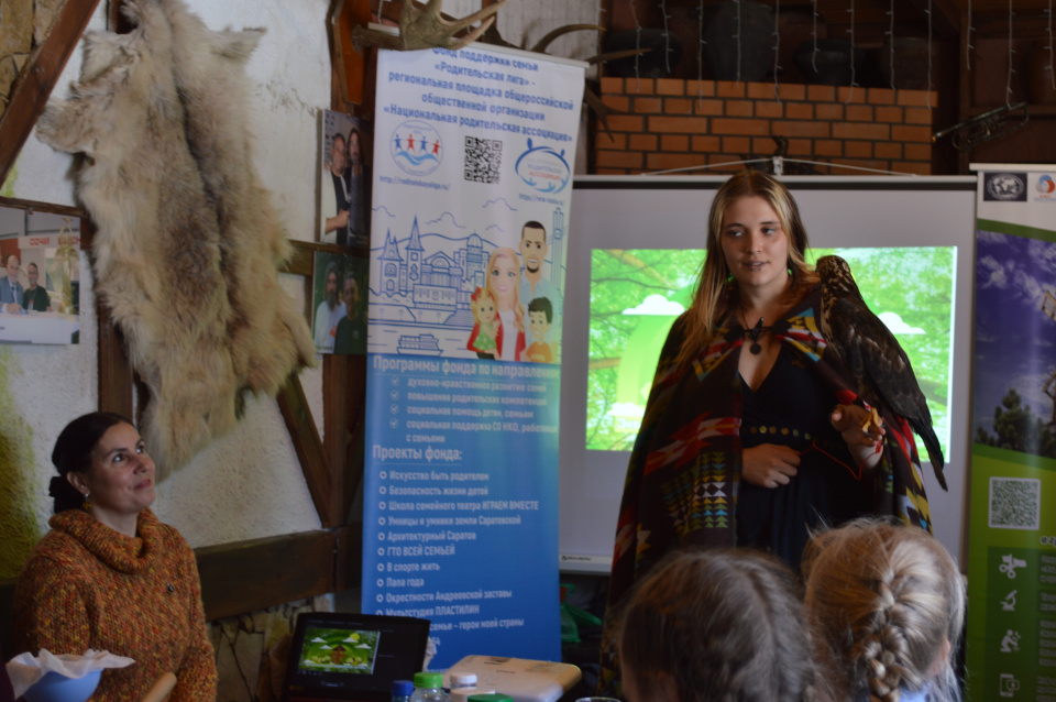 Осоед (семейство ястребиные)