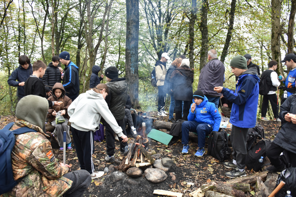 Поход на Нартию