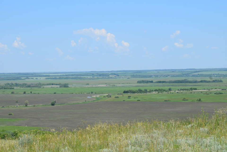 Михаил Овчаренко
