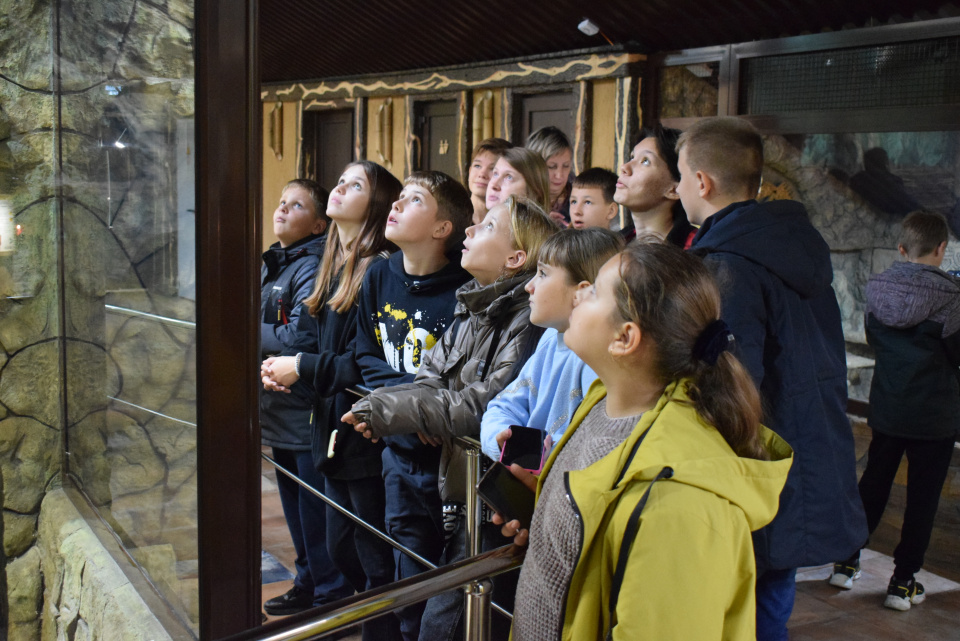 Экопутешествие в Воронеж