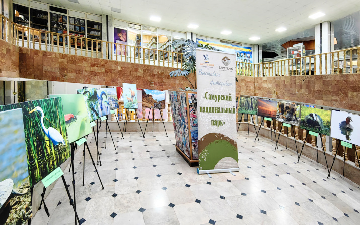 Экспозиция представила самые яркие кадры живой природы Самурского национального парка