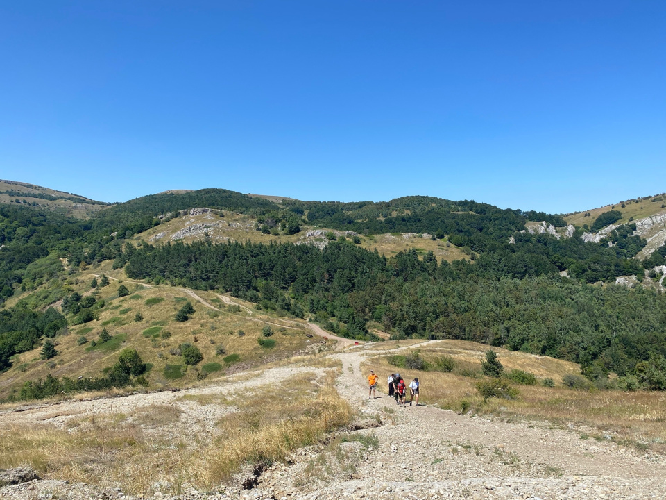 Никифорова А.А. 