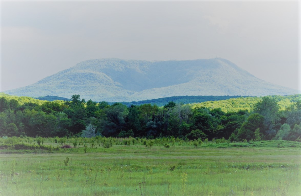 Гора Собер Баш. Автор фото Ровкина Ольга, руководитель Молодежного клуба Русского географического общества на базе Северского отделения Краснодарского регионального отделения Гора Собер Баш. Автор фото Ровкина Ольга, руководитель Молодежного клуба Русского географического общества на базе Северского отделения Краснодарского регионального отделения
