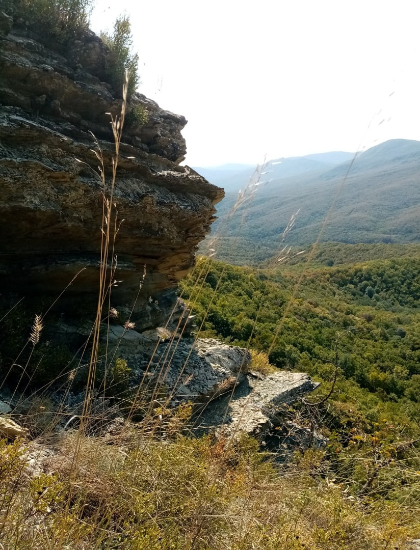 Скальное обнажение. Автор фото Ровкина Ольга, руководитель Молодежного клуба Русского географического общества на базе Северского отделения Краснодарского регионального отделения