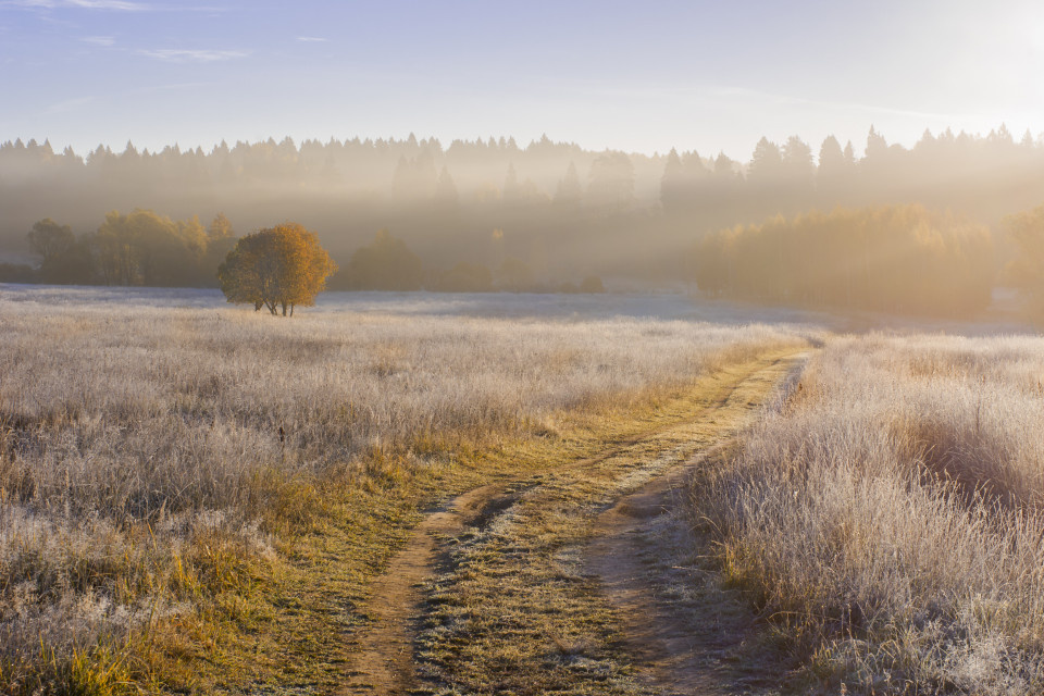  Александр Кыров