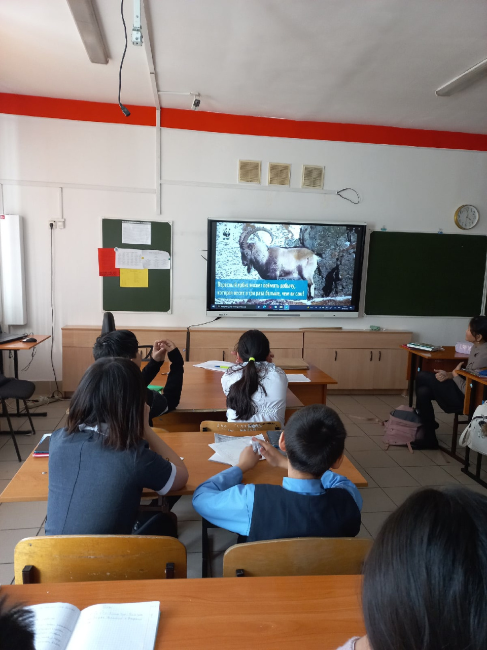 Гимназисты 