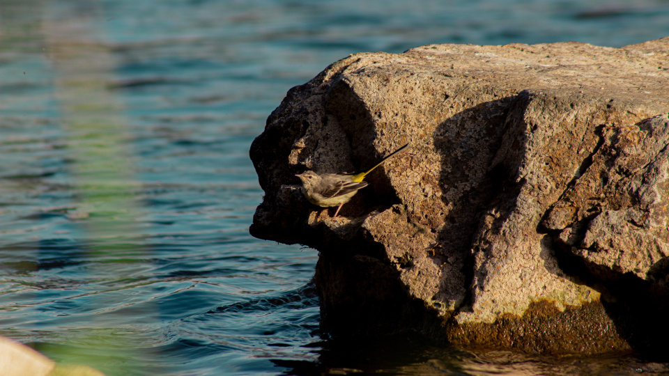 Алиссандра Назаренко, участница фотоконкурса РГО "Самая красивая страна"