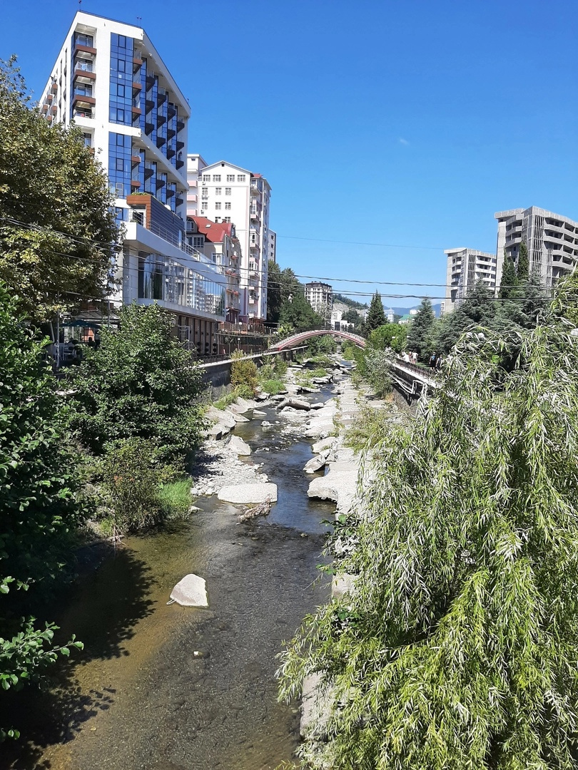  «Захват города природой»