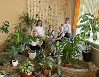 Сетевой проект