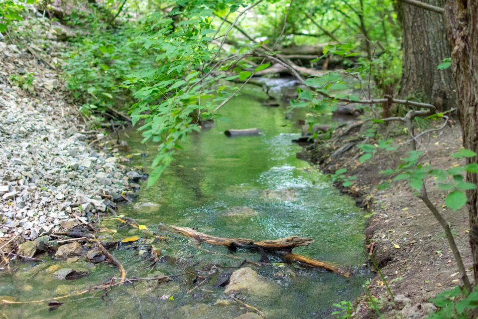 Фото предоставлено Молодежным клубом РГО "Новое поколение" Фото предоставлено Молодежным клубом РГО "Новое поколение"