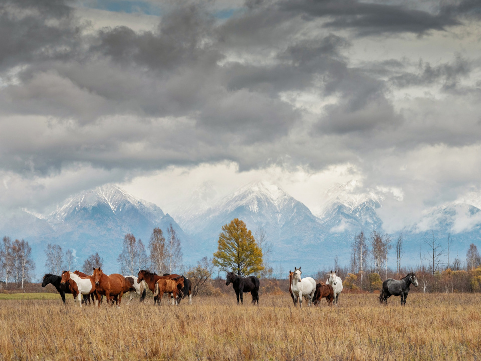 "Тункинская долина осенью"