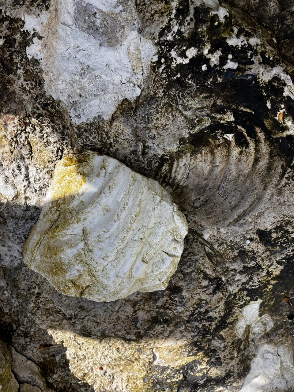 Поход в верховья реки Хеу