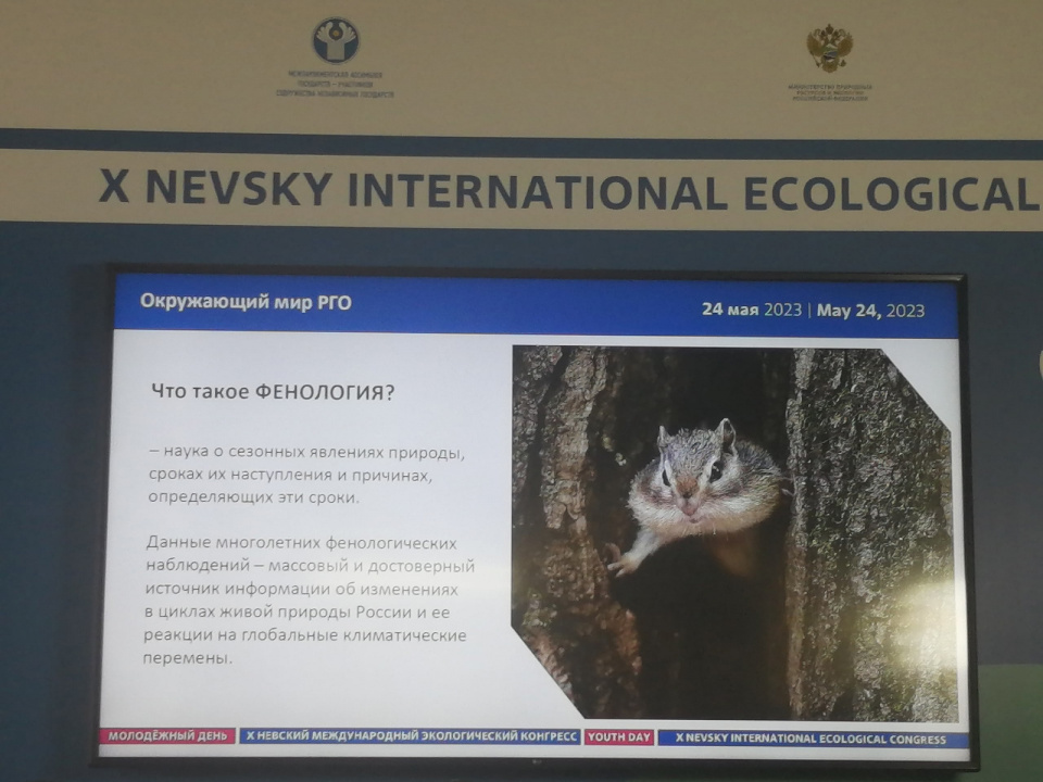 Райса Фаткуллина