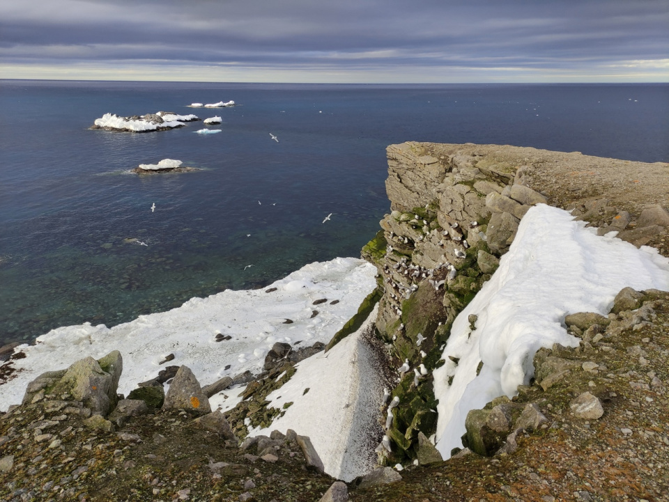 Мыс Желания, архипелаг Новая Земля
