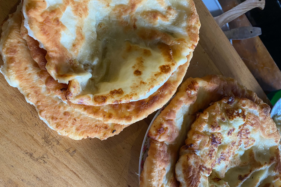 Ксения Гасица