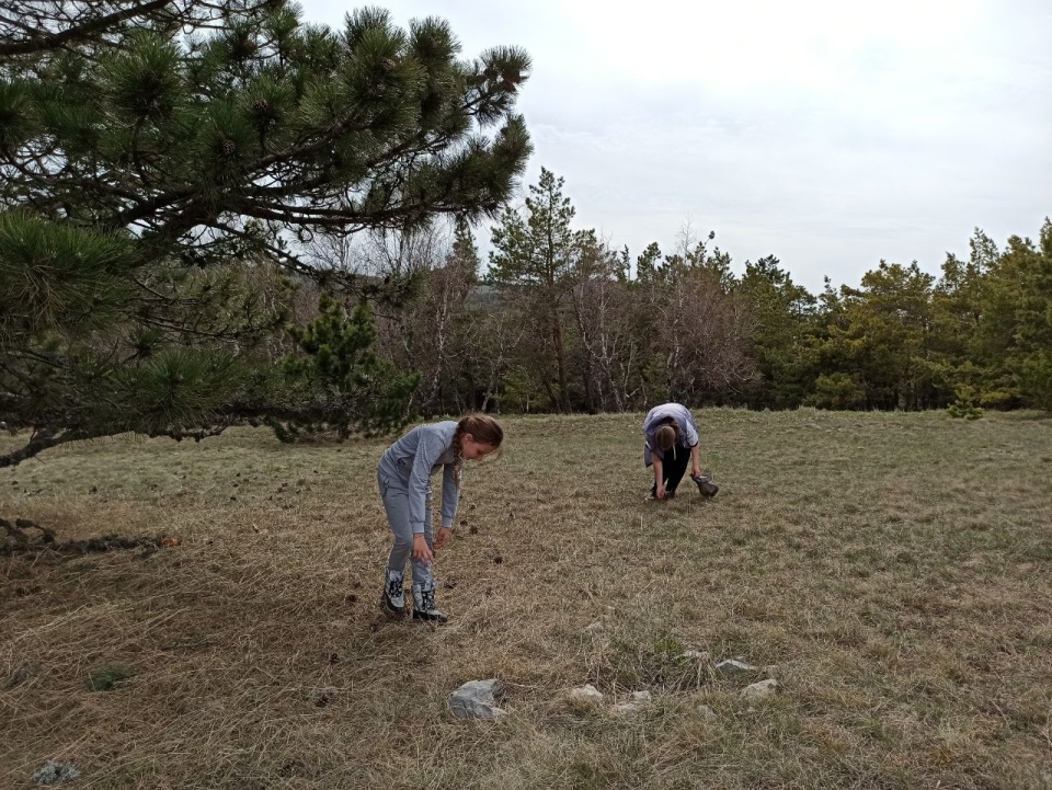 Предоставлено Молодежным клубом РГО в Крыму 