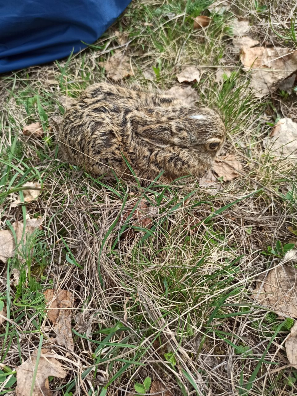 Молодежный клуб РГО в Крыму 