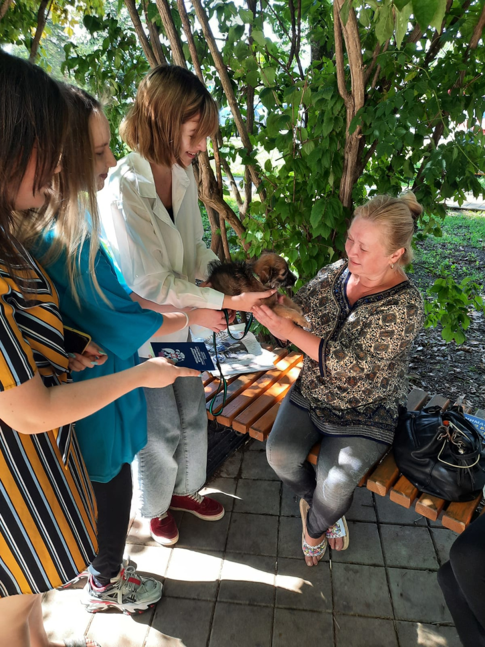 В надежные руки