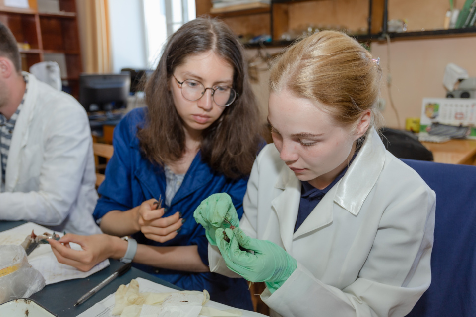 Ксения Гасица