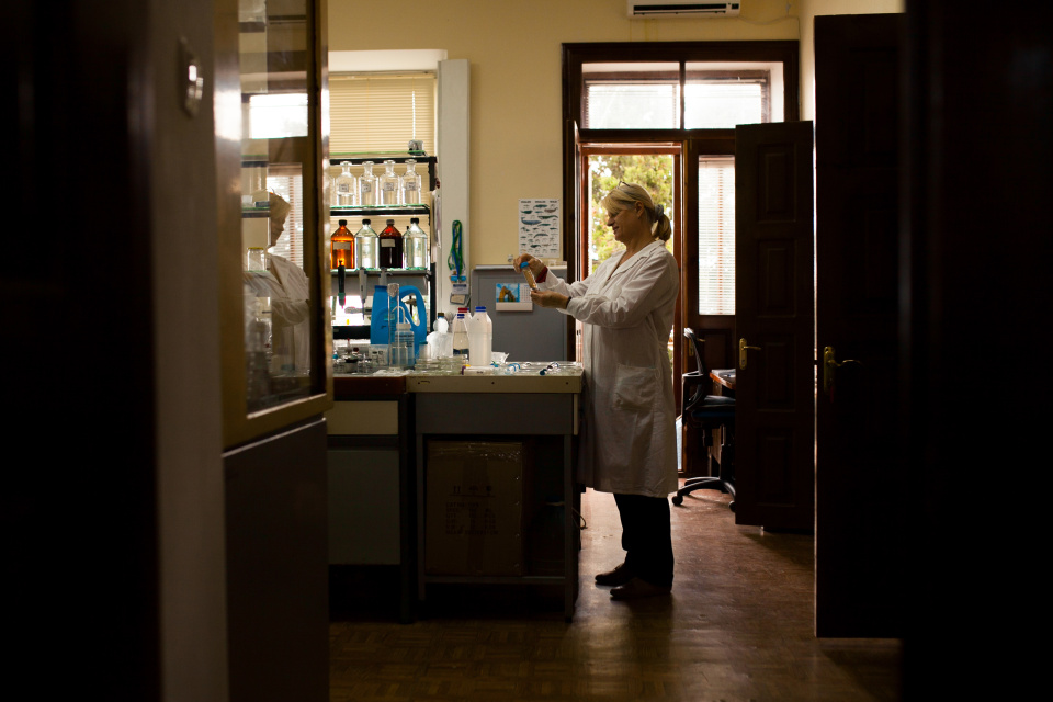 Анна Ермакова