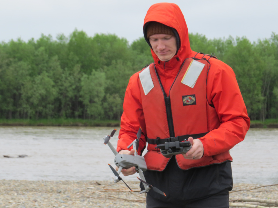 Мониторинг белоплечего орлана