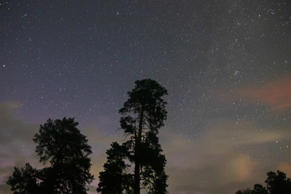Мария Ткаченко