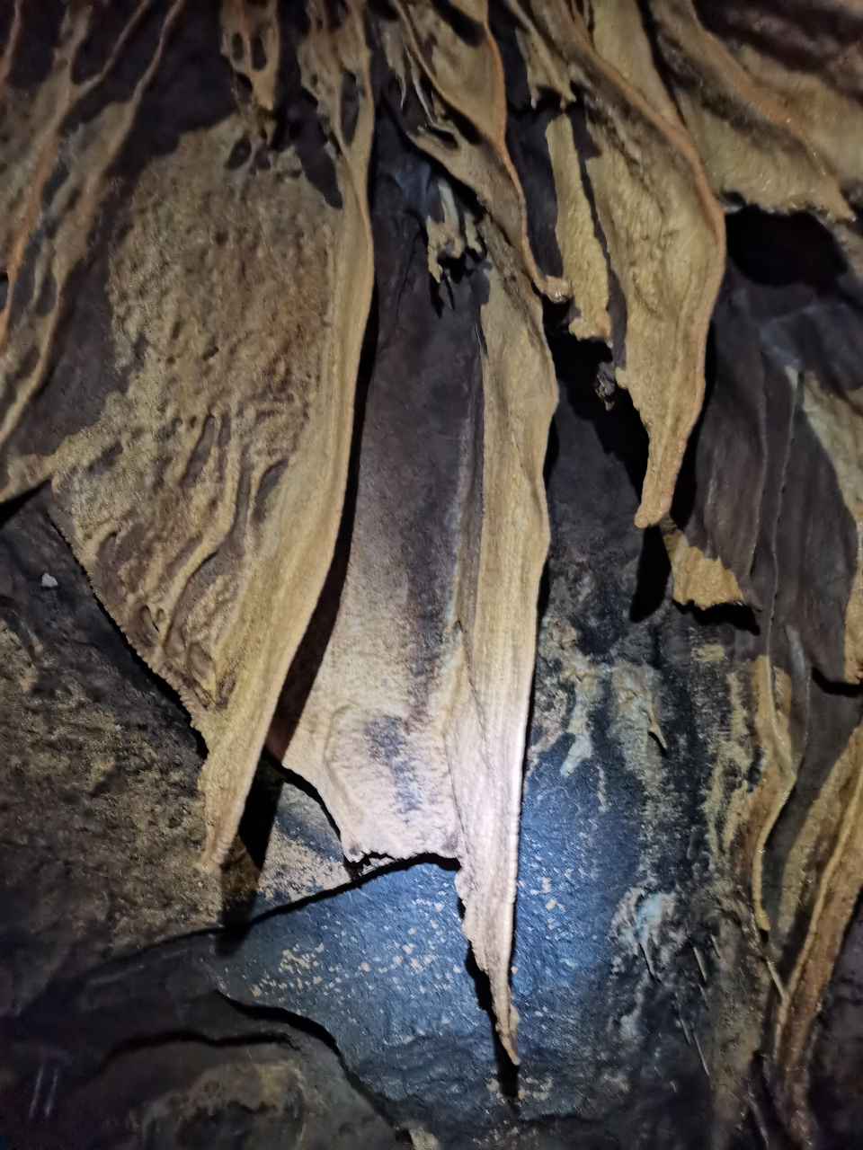 Денис Черепанов 