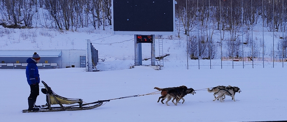 Владислав Сульдин