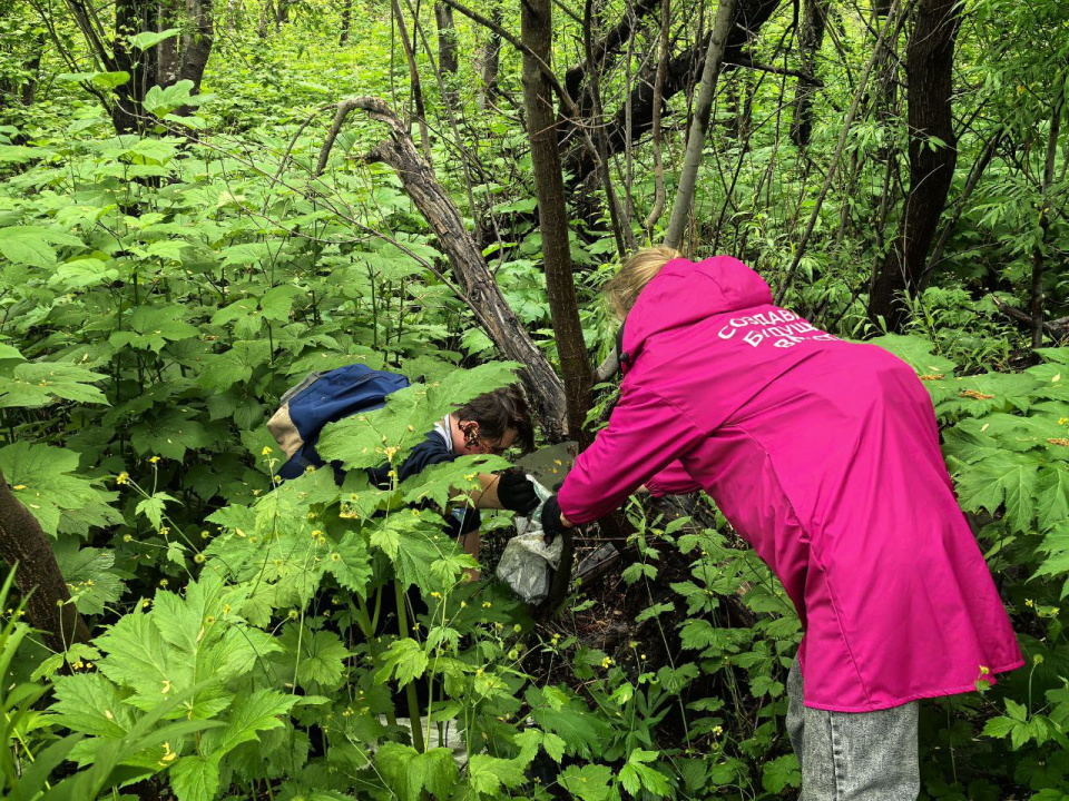 Чистые игры