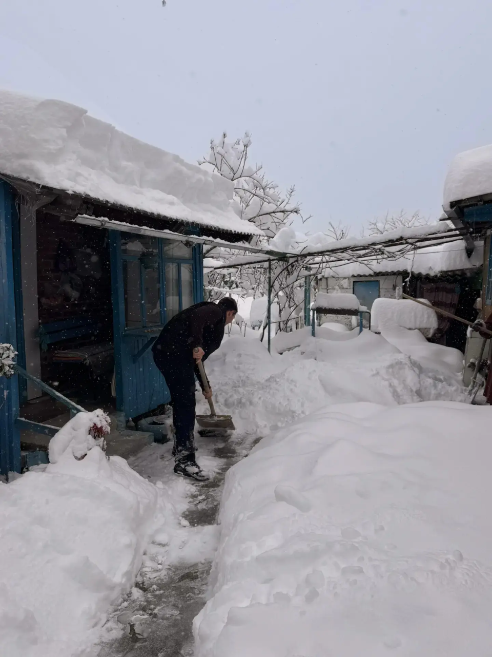 Александр Наумов