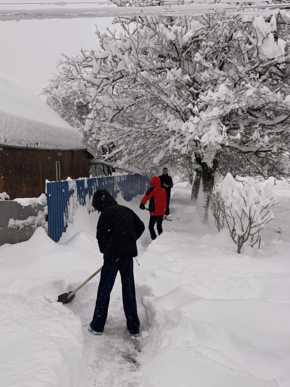 Александр Наумов