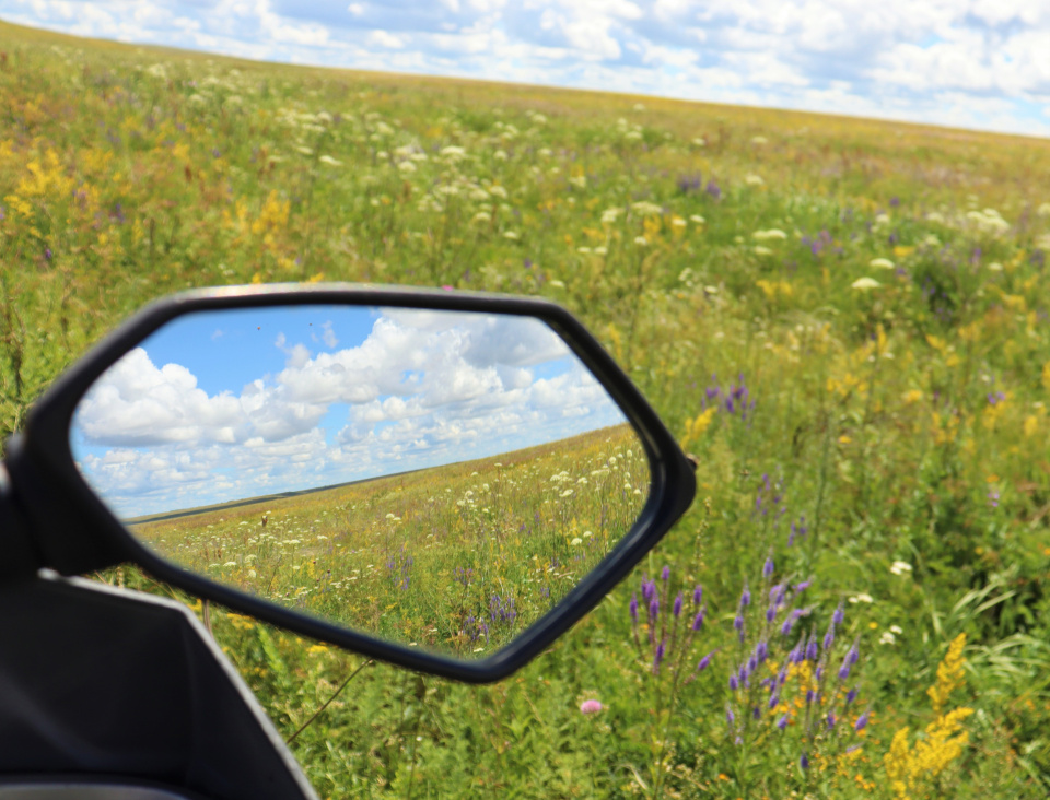 Анна Никольская 