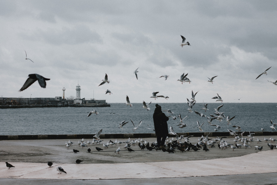 Наталья Белан, активистка Молодежного клуба Крымского отделения РГО Наталья Белан, активистка Молодежного клуба Крымского отделения РГО