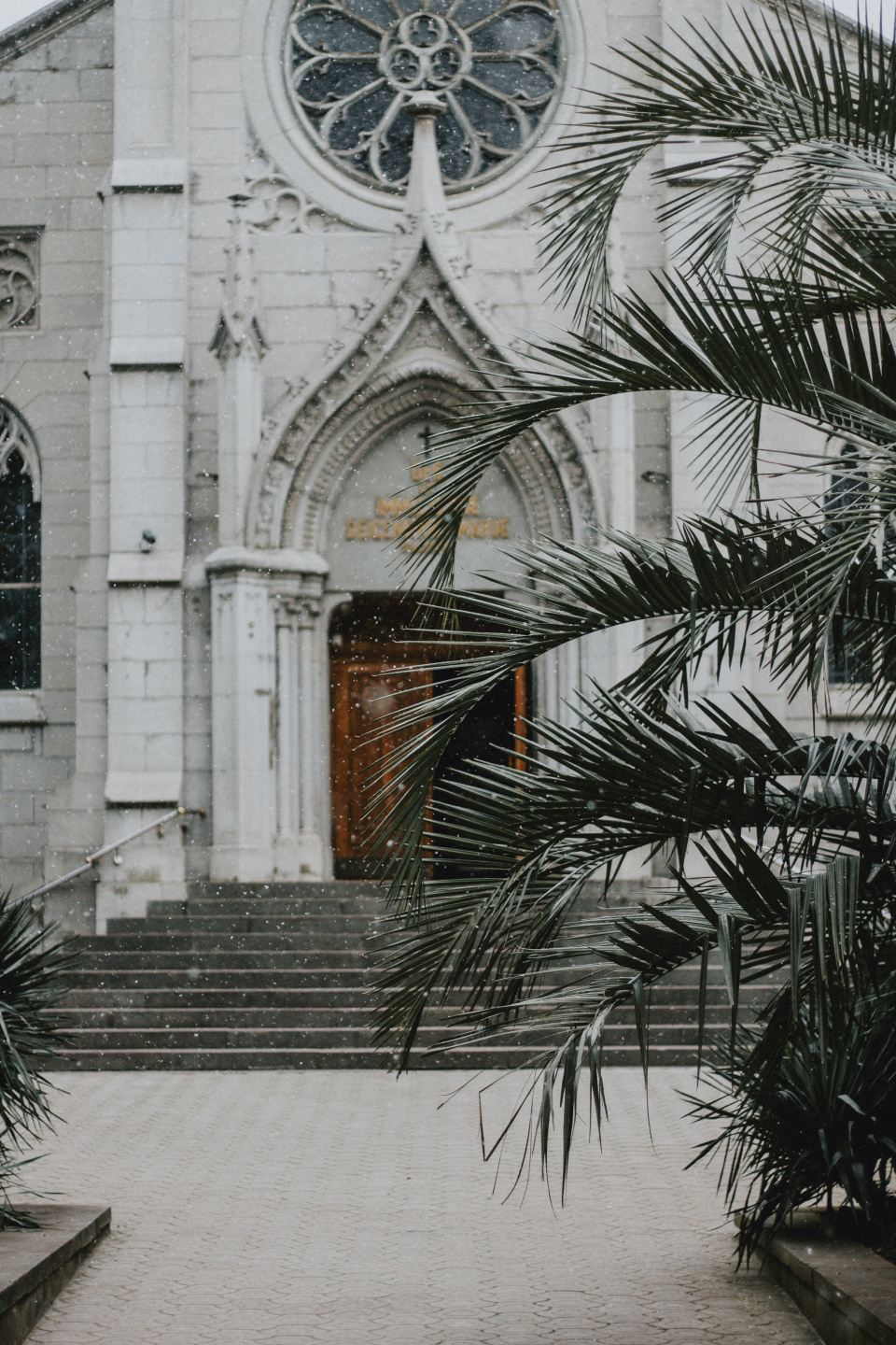 Наталья Белан, активистка Молодежного клуба Крымского отделения РГО Наталья Белан, активистка Молодежного клуба Крымского отделения РГО