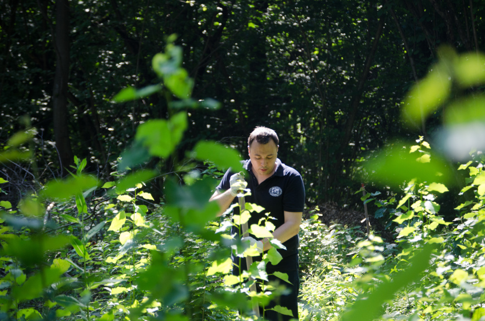 Дарья Королева